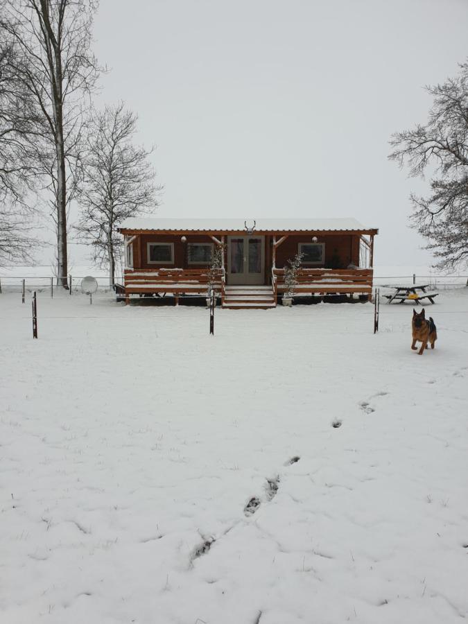 VrieschelooTiny House Het Reebokjeアパートメント エクステリア 写真